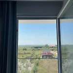 Suli * Tale